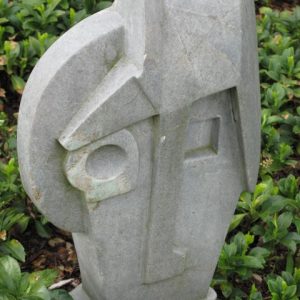 Face with Many Shapes