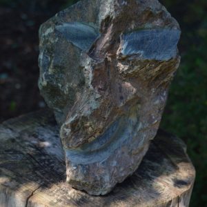 Face with a Crooked Nose